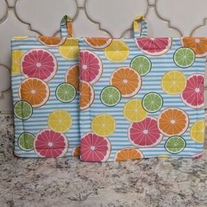 Colorful Citrus Pot Holders